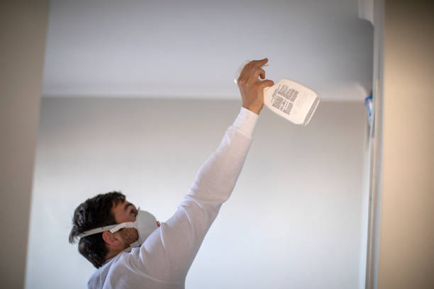 Best Residential Mold Removal  in Laurel, FL