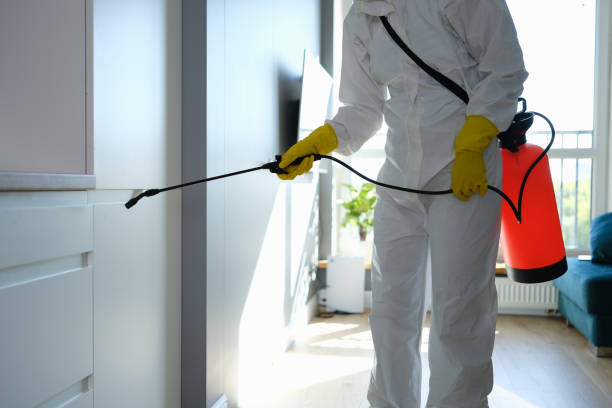 Office Mold Removal Services in Laurel, FL