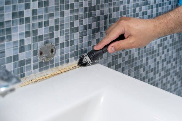 Mold Removal and Inspection in Laurel, FL