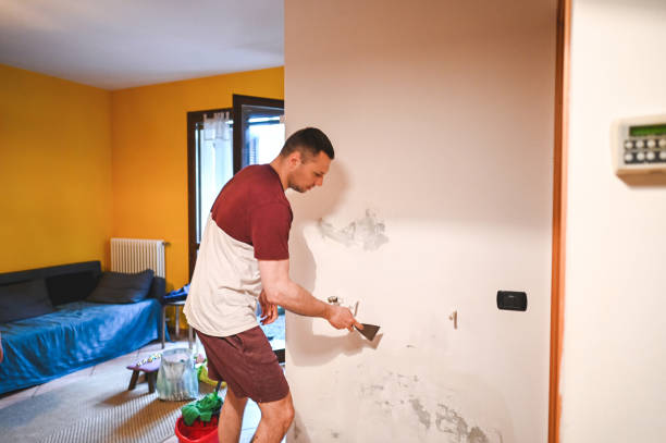 Best Mold Damage Repair  in Laurel, FL
